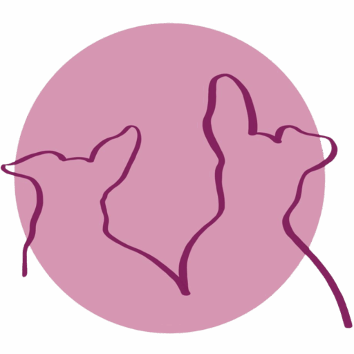 Logo von Diana Ullrich Hundetrainerin Hundephysiotherapeutin Hundetierheilpraktikerin