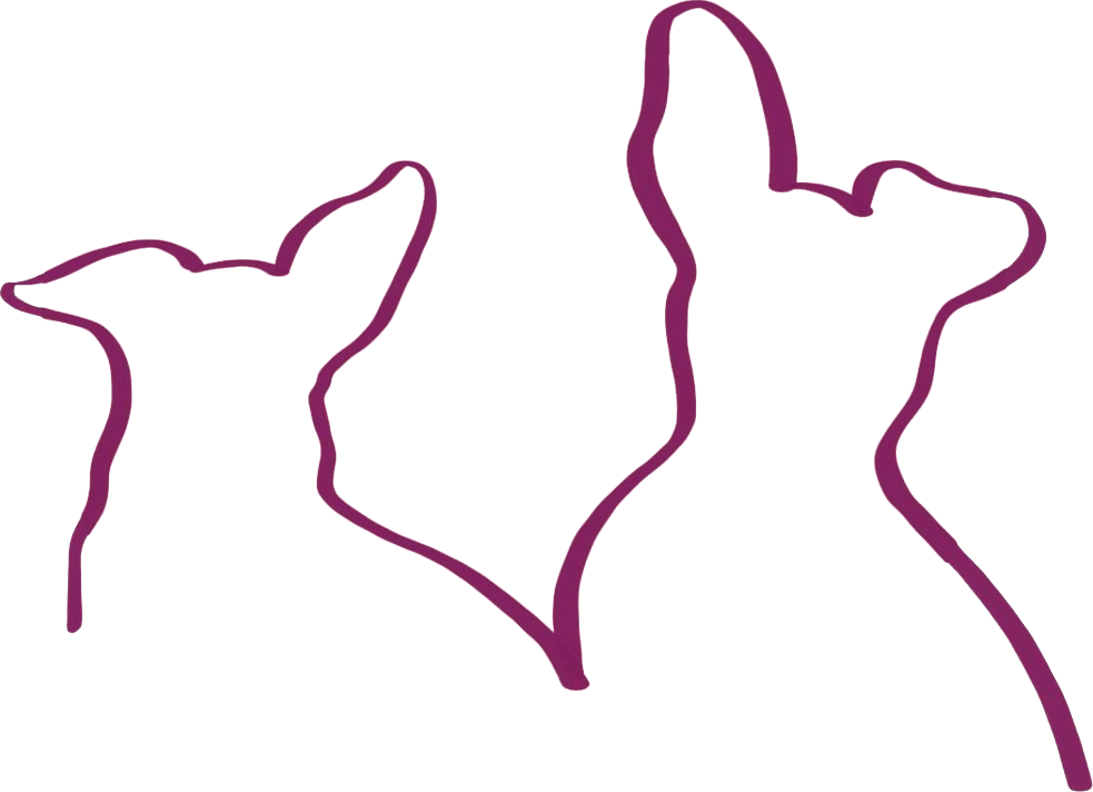 Diana Ullrich Logo Umriss Webseite Icon